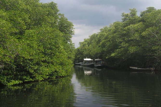 1 Hour Mangrove Tour From Lembongan with Kayak, Paddle, or Boat - Choosing between a kayak and a paddleboard
