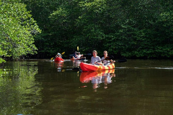 1 Hour Mangrove Tour From Lembongan with Kayak, Paddle, or Boat - What the one-hour route is actually like