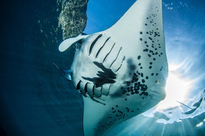 2 Days Discover Scuba Diving in Nusa Lembongan - Scuba Initiation - Learning to breathe underwater in Nusa Lembongan