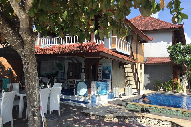 2 or 3 dives in Nusa Lembongan and Penida, for certified diver (in Lembongan) - Crystal Bay and the Seasonal Mola Mola Chance