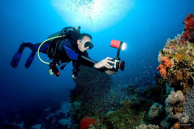 2 or 3 dives in Nusa Lembongan and Penida, for certified diver (in Lembongan) - Why the Small Group Size Matters