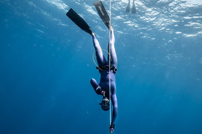3-Day Freediving Level 1 Course - The value of a four-student limit