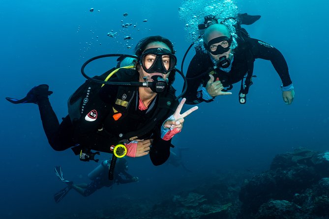 5 Fun Dives in Pemuteran (for certified divers) - Exploration in Menjangan Park - What the feedback suggests about the center