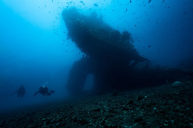 5 Fun Dives in Tulamben (for certified divers) - Discover famous diving sites - Coral Garden, lava rock, and smaller creatures