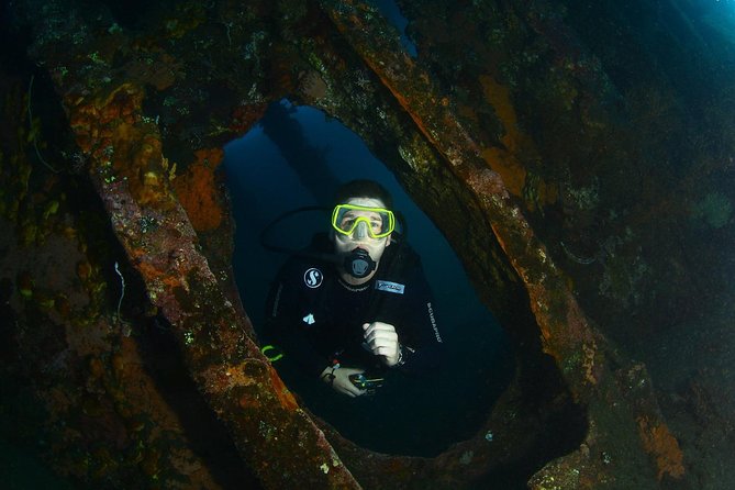 5 Fun Dives in Tulamben (for certified divers) - Discover famous diving sites - What makes the Liberty wreck worth the effort