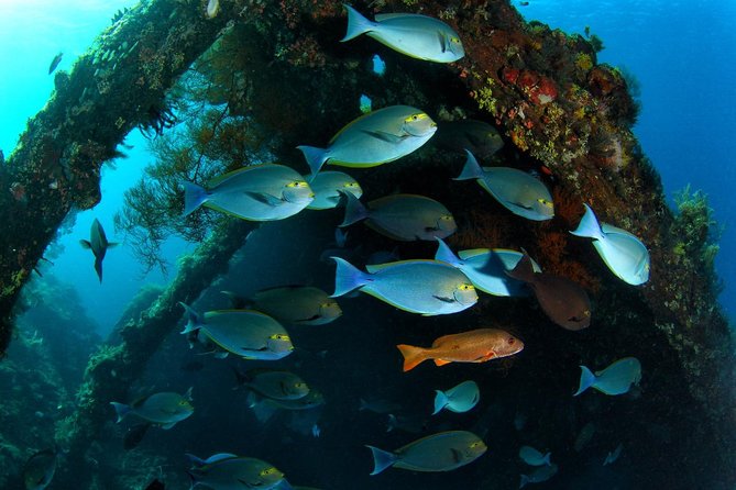 Advanced Open Water Course - Advanced Certification in Tulamben - Equipment, Accommodation, and Extra Costs