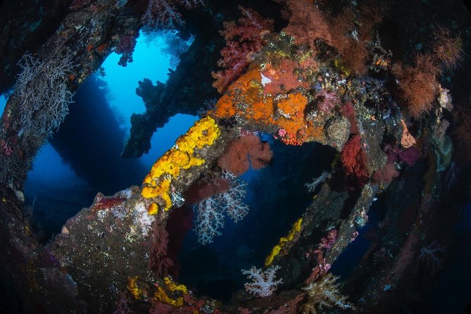 Advanced Open Water Course - Advanced Certification in Tulamben - Tulamben’s Wrecks, Coral Garden, and Wall