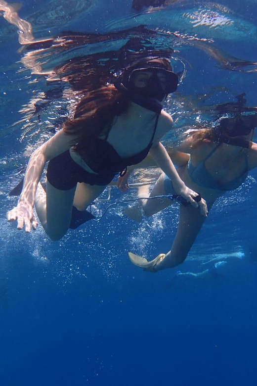All Include Snorkeling at Menjangan Island - What the timing feels like in practice