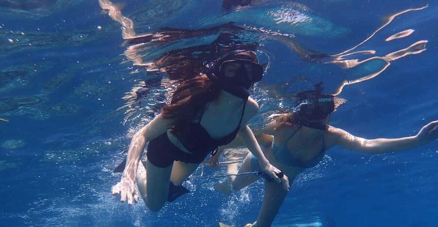 All Include Snorkeling Menjangan Island - What the reef experience is really like