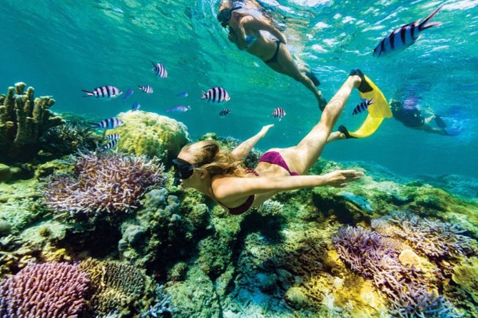 All Inclusive Bali Blue Lagoon Snorkeling with Lunch and Transport - Tanjung Jepun: the easier first swim