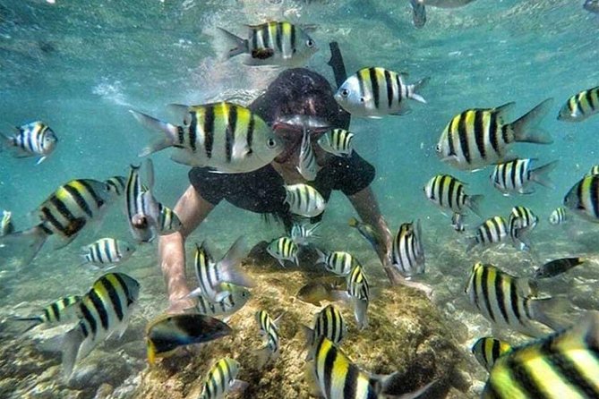 All Inclusive Bali Snorkeling Blue Lagoon tour experience - Lunch at about 2 p.m.