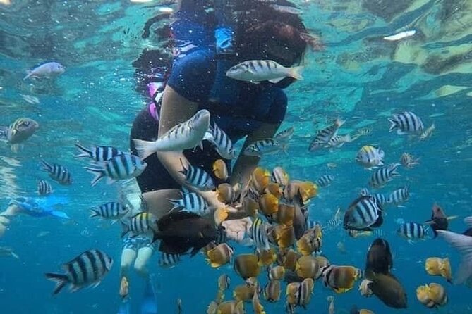 All Inclusive Blue Lagoon Snorkeling with Bali ATV Quad Adventure - How the timing affects the day