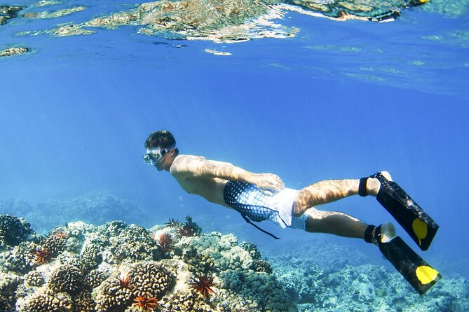 All Inclusive Blue Lagoon Snorkeling with Bali ATV Quad Adventure - Blue Lagoon snorkeling and the chance of a turtle