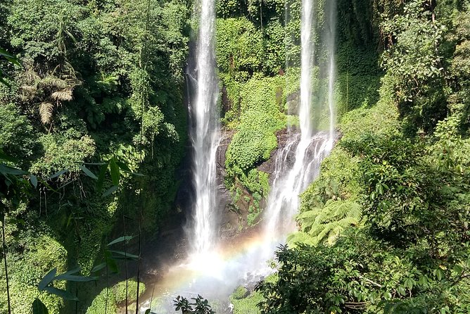 All Inclusive Sekumpul Waterfall Trekking , Handara Gate & Temple - Who should book this tour