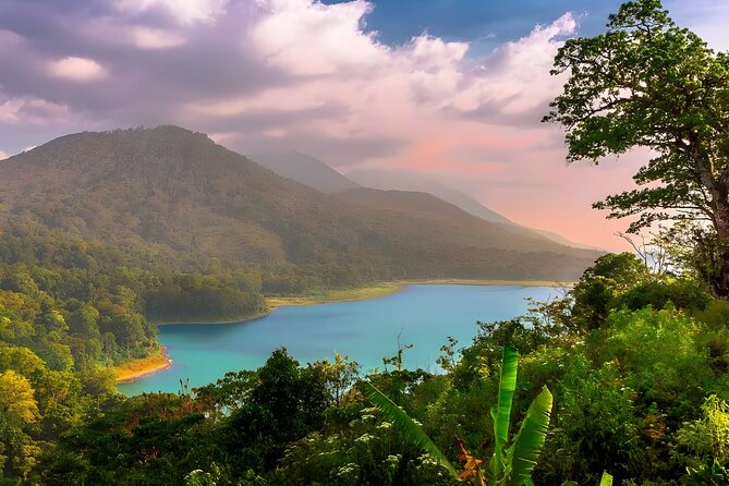 Amazing Bali Dolphin Watching Trip Experience - A 3 a.m. departure from southern Bali