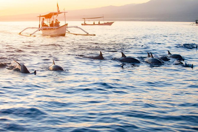 Amazing Private Tours: Dolphins Lovina and Gitgit Waterfall include Lunch - Why the 2:30 am start matters