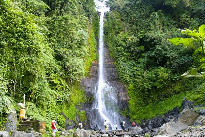 Amazing Private Tours: Dolphins Lovina and Gitgit Waterfall include Lunch - A private driver makes the long route easier