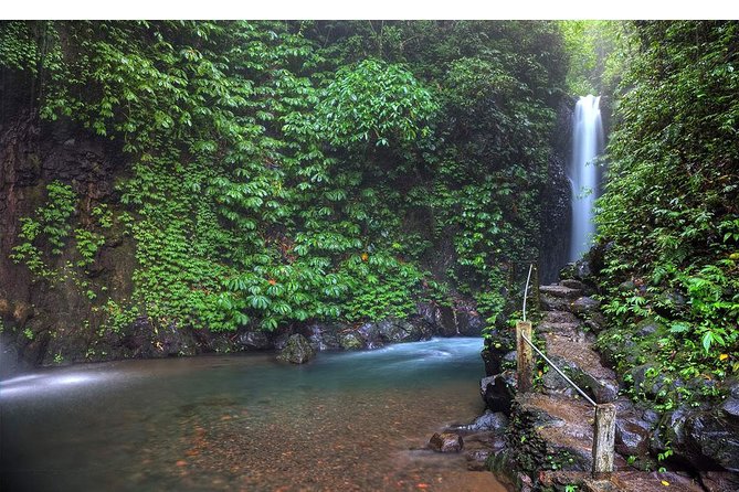 Amazing Private Tours: Dolphins Lovina and Gitgit Waterfall include Lunch - Who should book this north Bali day?