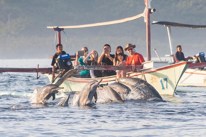 Amazing Private Tours: Dolphins Lovina and Gitgit Waterfall include Lunch - Gitgit Waterfall brings a change of pace