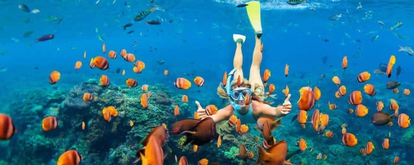 Amed: Snorkeling Tour with Japanese Shipwreck and Coral … - Why Amed makes a good snorkeling base