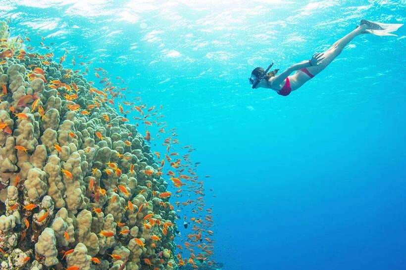 Amed: Snorkeling Tour with Japanese Shipwreck and Coral … - Finding coral on the Japanese Shipwreck