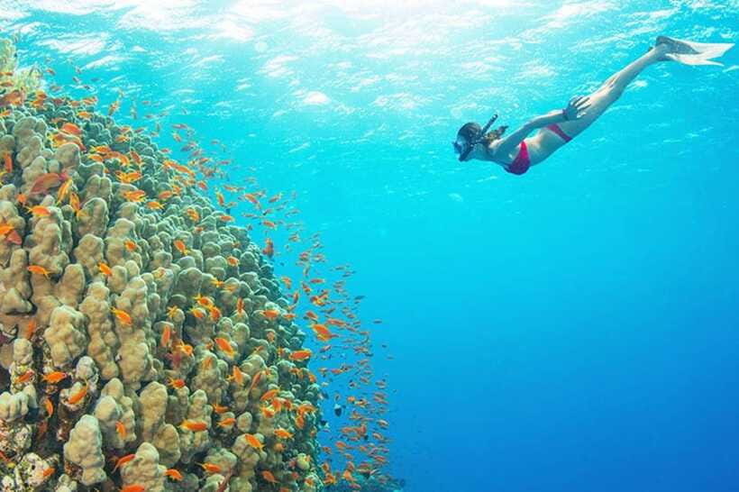 Amed: Snorkeling Tour with Japanese Shipwreck and Coral … - Finishing at Selang Beach’s Coral Garden