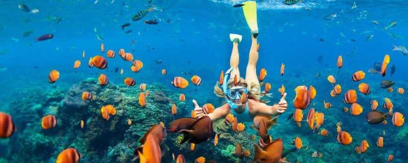 Amed: Snorkeling Tour with Japanese Shipwreck and Coral … - Who should book this Amed snorkeling tour