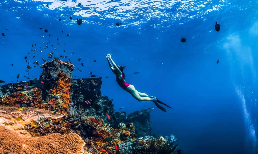 Amed: Snorkeling Trip to the Japanese Shipwreck - Key points to know before booking