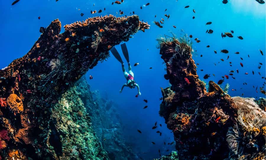 Amed: Snorkeling Trip to the Japanese Shipwreck - Why Amed’s Japanese Shipwreck is worth the long ride