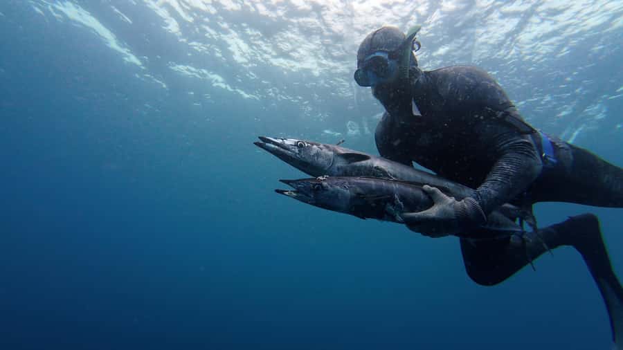 Amed: Spearfishing, Freediving and Catch & Cook Adventure - Key points to know before you book