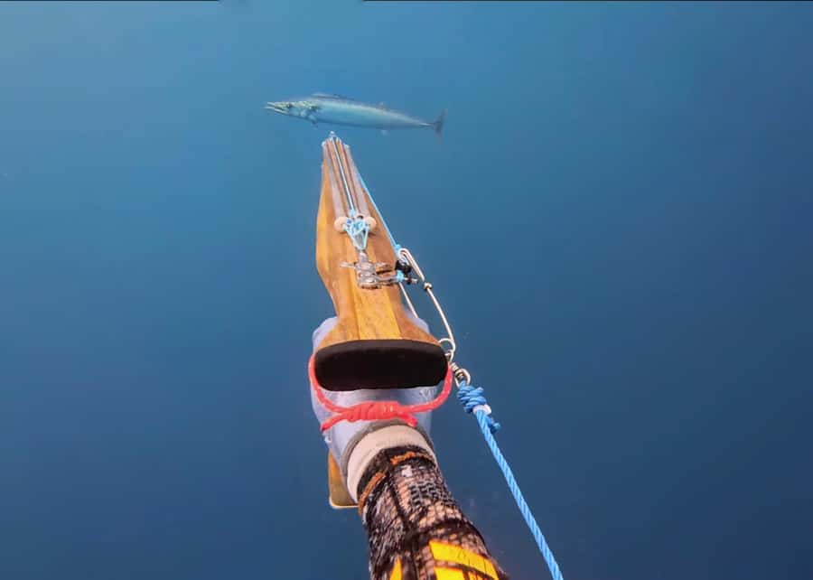 Amed: Spearfishing, Freediving and Catch & Cook Adventure - The first 30 minutes: safety, gear, and basic technique
