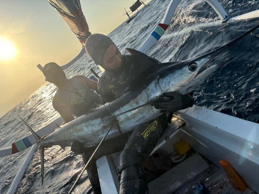 Amed: Spearfishing, Freediving and Catch & Cook Adventure - What the $277 price means for two people