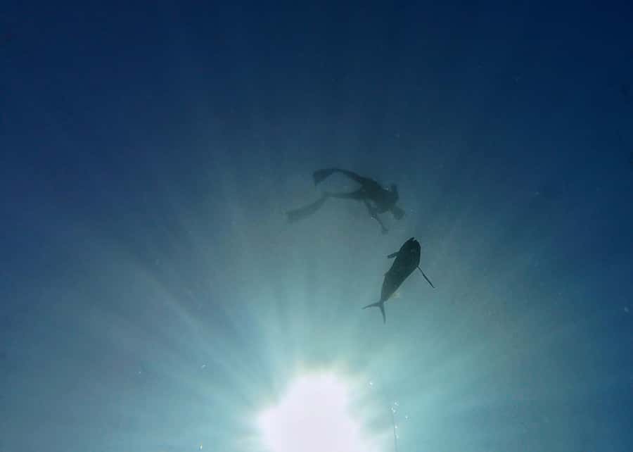 Amed: Spearfishing, Freediving and Catch & Cook Adventure - Who should book this Amed adventure