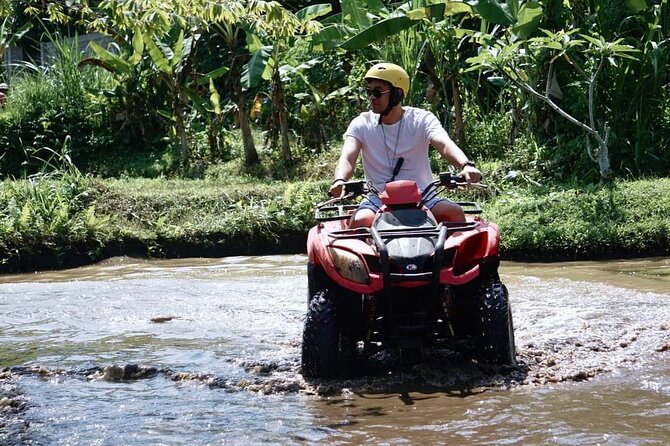 ATV Quad bike tour with Rice terraces & temple - Why the ATV and Ubud combination works