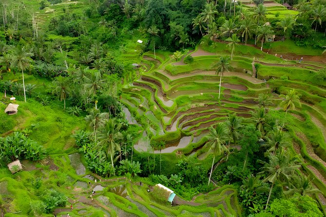 Ayung River Rafting and Kintamani Volcano Trip - Who will enjoy this route most