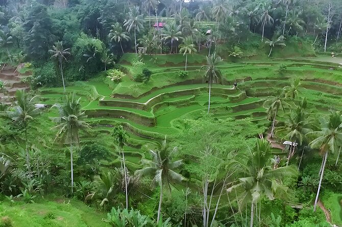 Ayung River Rafting and Ubud Waterfall Tour - Tirta Empul Temple and the Sacred Springs