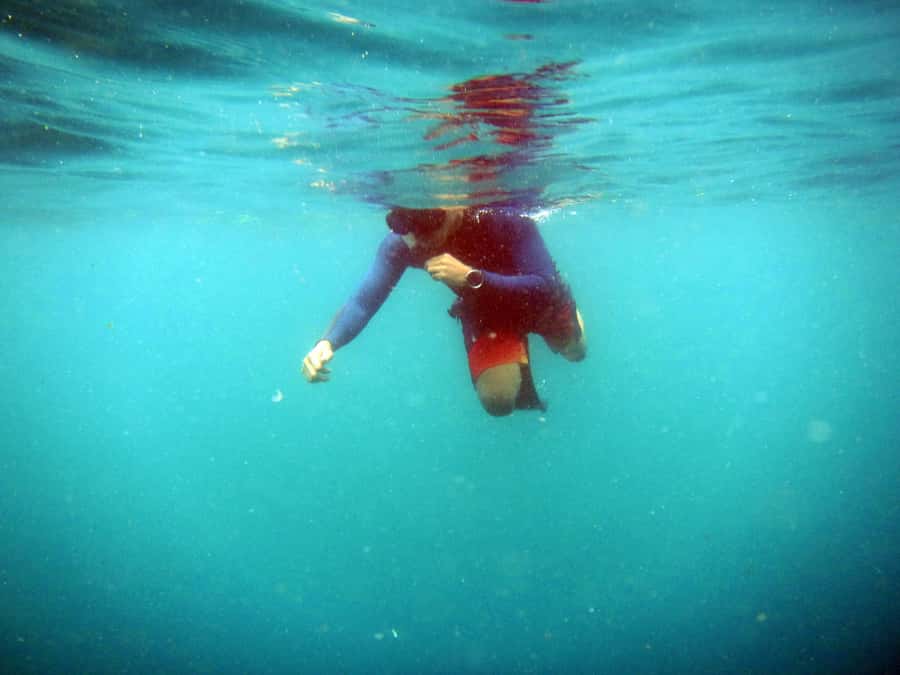 Bali: 1 Hour Snorkeling at Nusa Dua Beach - What your hour at Nusa Dua Beach looks like