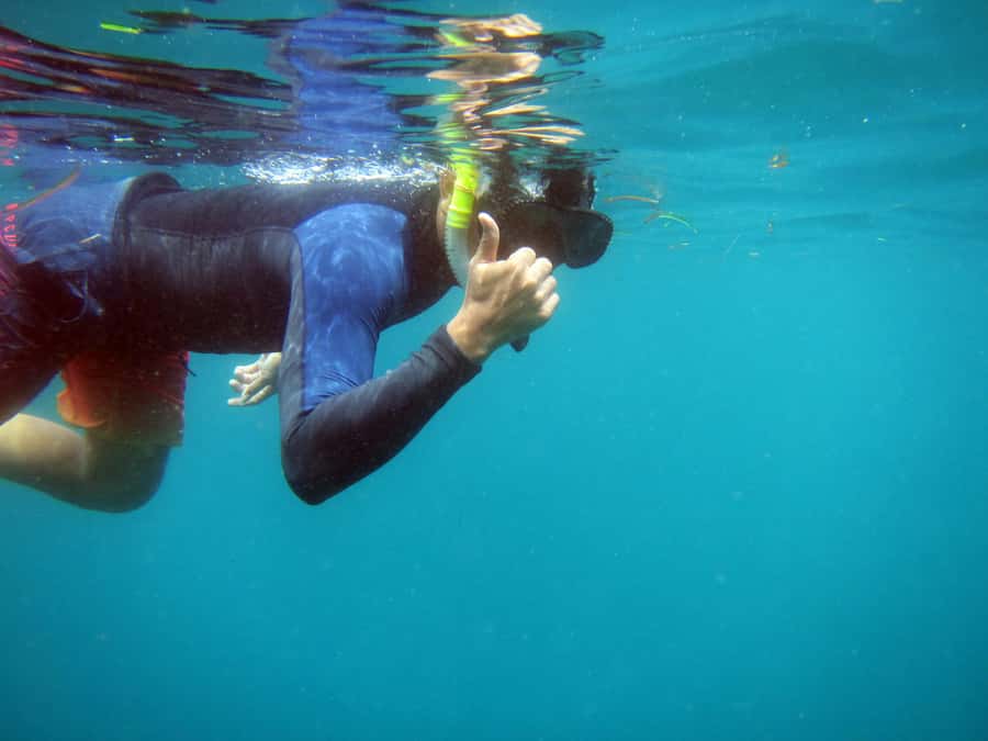 Bali: 1 Hour Snorkeling at Nusa Dua Beach - Why the one-hour format works