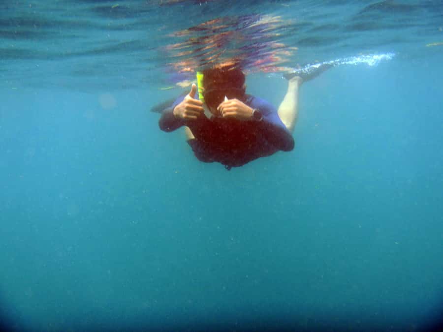 Bali: 1 Hour Snorkeling at Nusa Dua Beach - Guides, safety, and the Mr. Agung detail