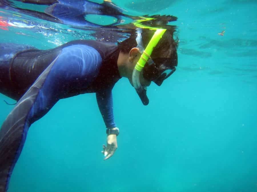 Bali: 1 Hour Snorkeling at Nusa Dua Beach - What is included, and what you still pay for