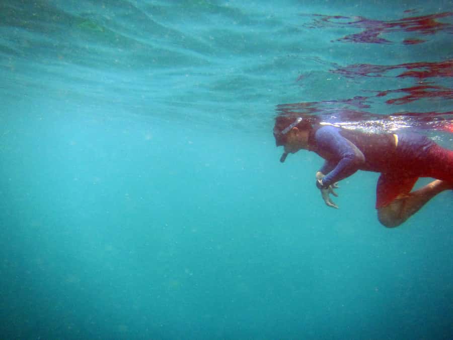 Bali: 1 Hour Snorkeling at Nusa Dua Beach - How to make the most of the session