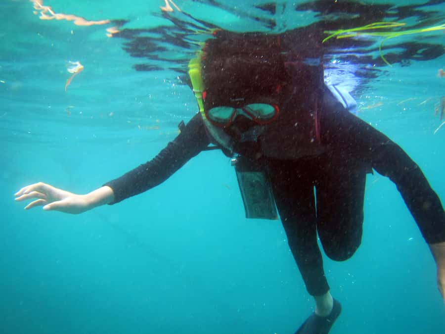 Bali: 1 Hour Snorkeling at Nusa Dua Beach - The real question is water clarity