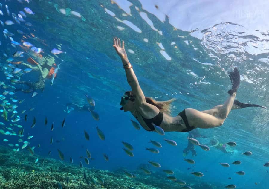 Bali: 3-Day Private Gili Islands Snorkel Tour with Hotel - A compact escape from Bali to the Gili Islands