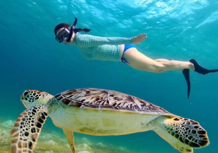 Bali: 3-Day Private Gili Islands Snorkel Tour with Hotel - Who should book this island package?