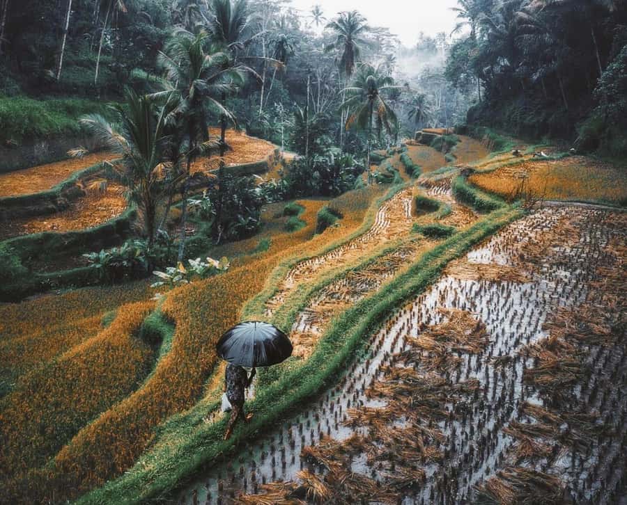 Bali: 3-Day Private Must-Do Highlights Nature & Culture Tour - What to pack for three very different settings