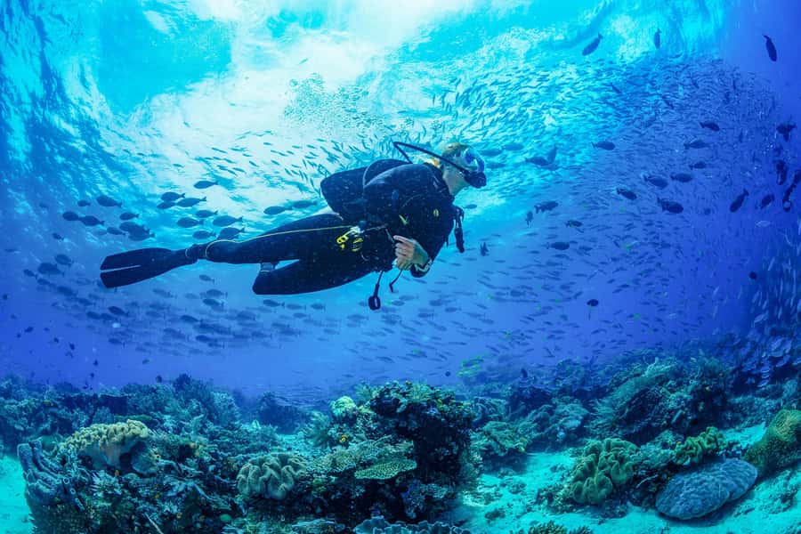 Bali: 3-Days PADI Open Water Diving Course - Key points at a glance