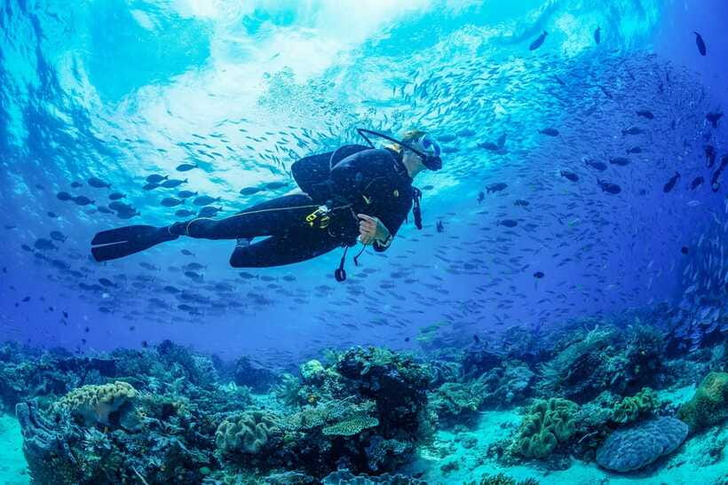Bali: 3-Days PADI Open Water Diving Course - What the three-day PADI course is really like