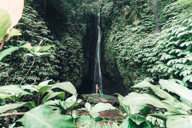 Bali 3 Days Private Tour-Bali Highlight - The Nusa Penida question you should settle first