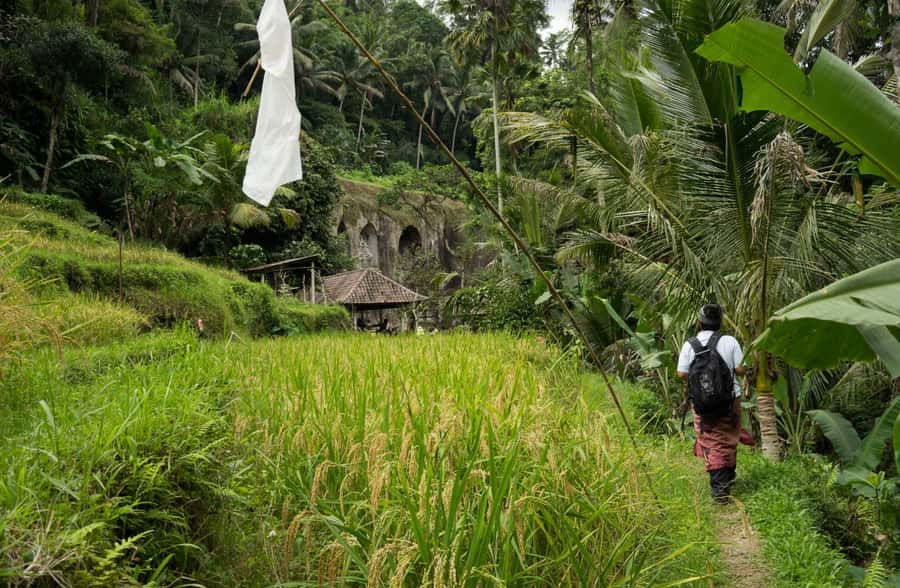 Bali: 6-Hour UNESCO Sites Cultural Walking Tour - Pegulingan Temple and Layers of Belief