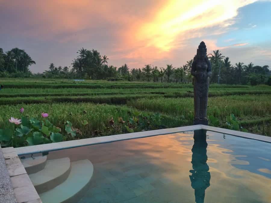 Bali: 7 Day Solo Traveler’s Yoga Retreat In Ubud - Monday brings natural medicine and Canang making